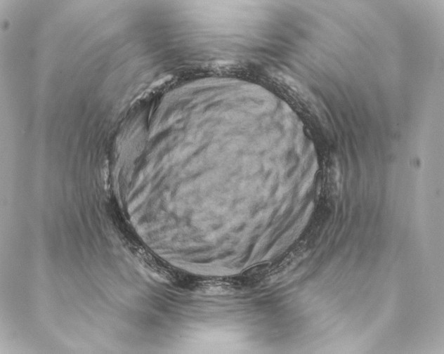 X0000088190750200706051206