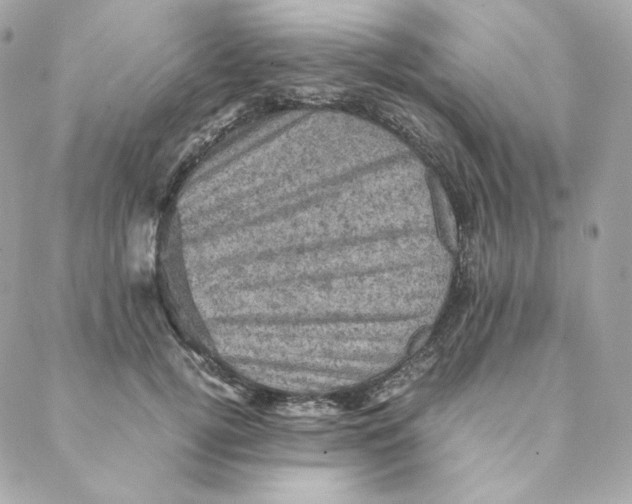 X0000088190752200706051206