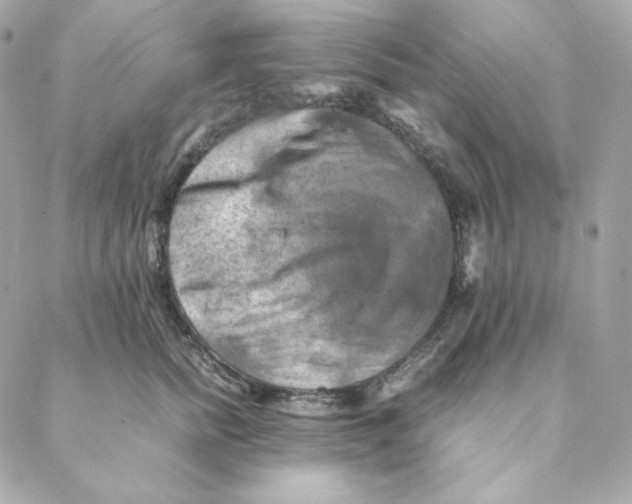 X0000088190758200706051206