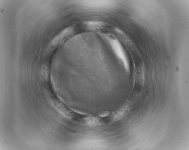 X0000088190762200706051206