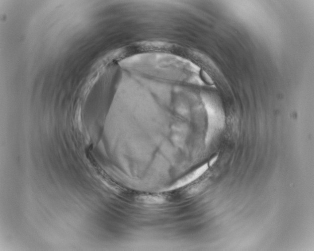 X0000088190765200706051206