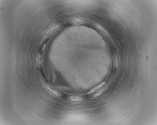 X0000088190766200706051206