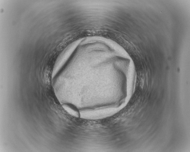 X0000088190770200706051206