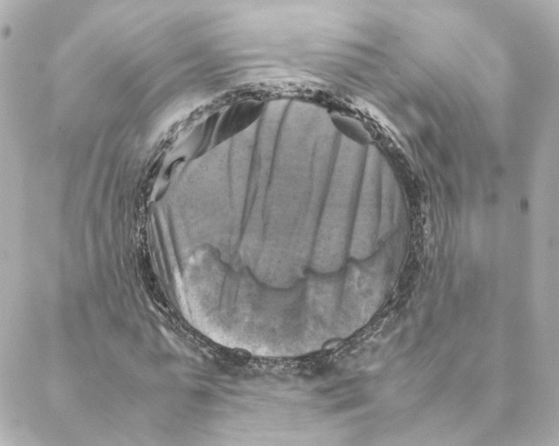 X0000088190775200706051206