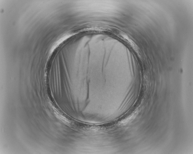 X0000088190779200706051206