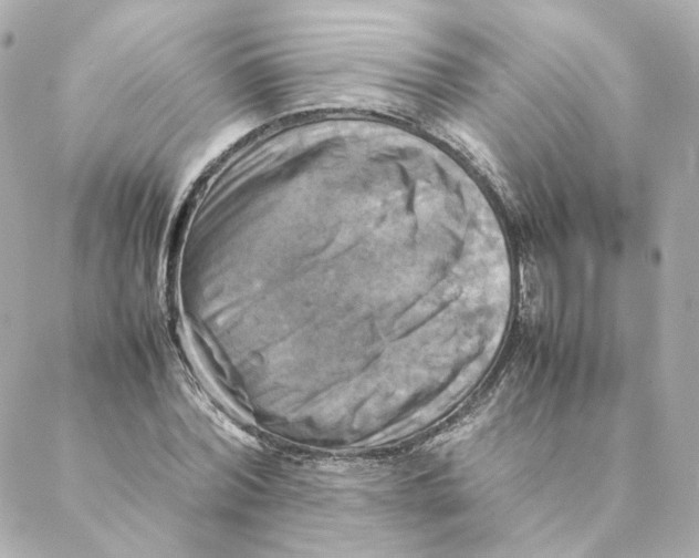 X0000088190780200706051206