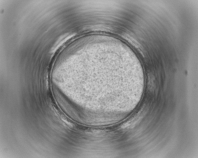 X0000088190782200706051206