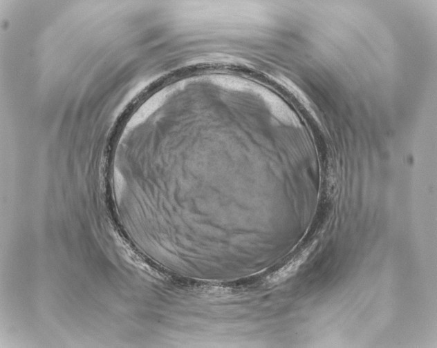 X0000088190783200706051206