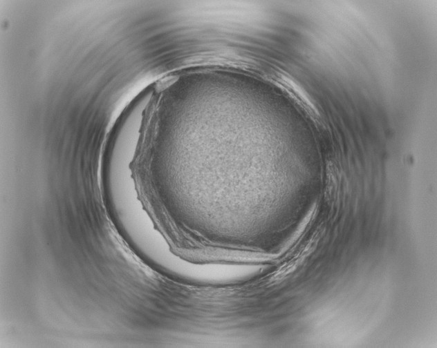 X0000088190788200706051205