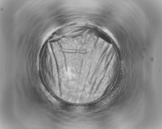 X0000088190791200706051205