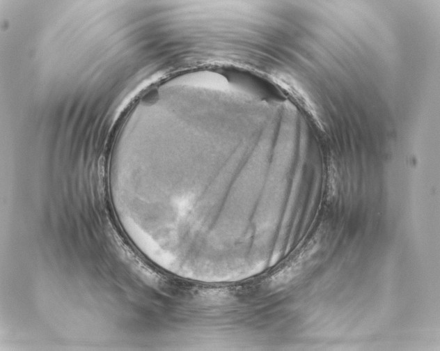X0000088190798200706051205