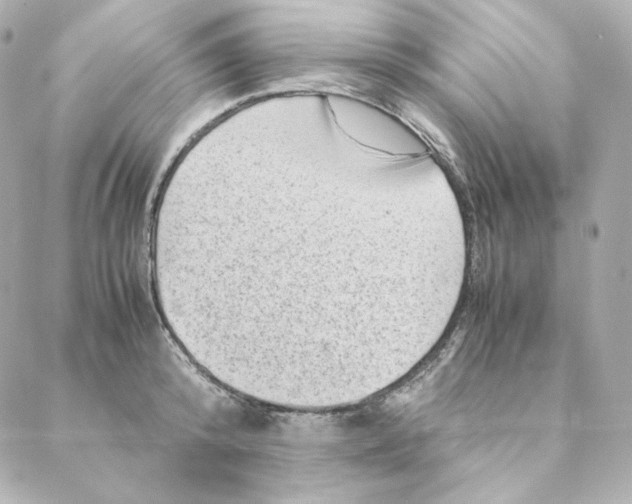 X0000088190800200706051205