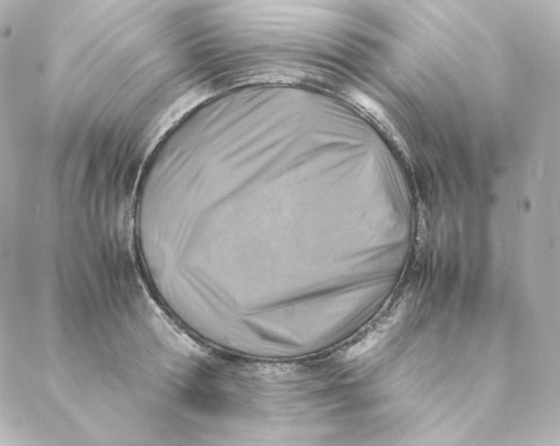 X0000088190802200706051205