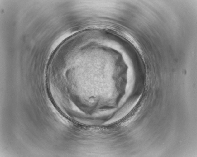 X0000088190803200706051205