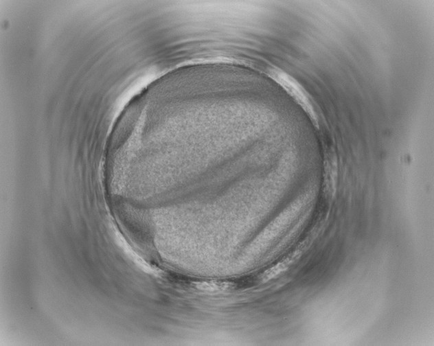 X0000088190805200706051205