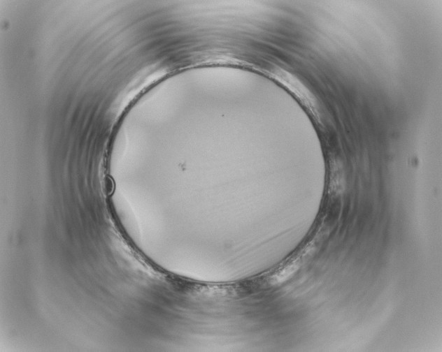 X0000088190806200706051205