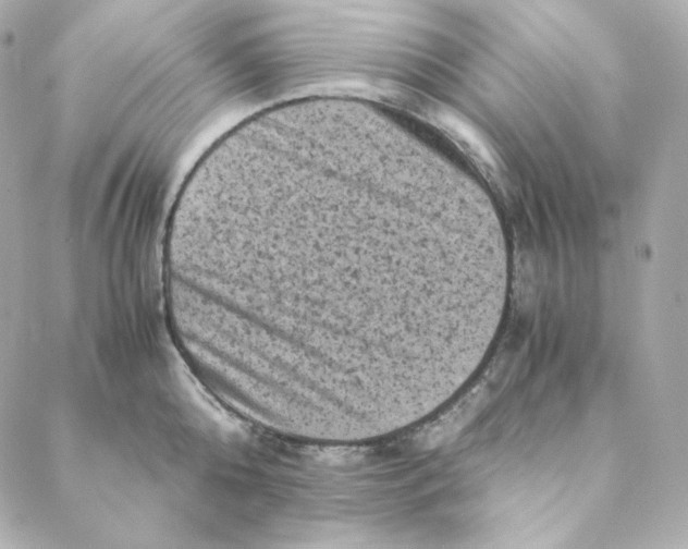 X0000088190808200706051205