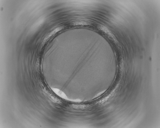 X0000088190825200706051204