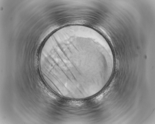 X0000088190835200706051204
