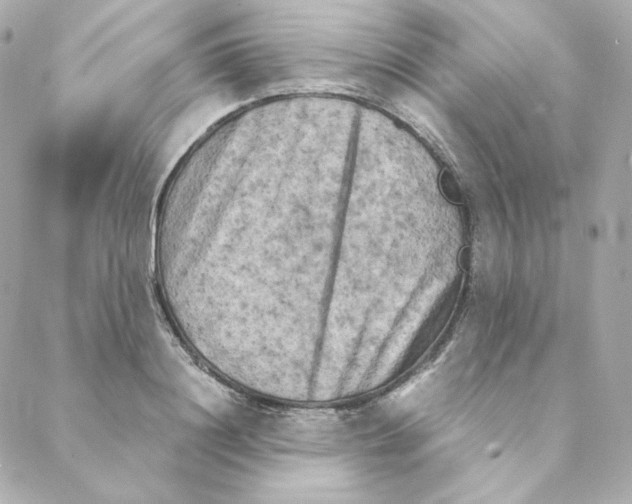 X0000088190844200706051205