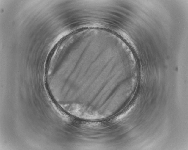 X0000088190845200706051205