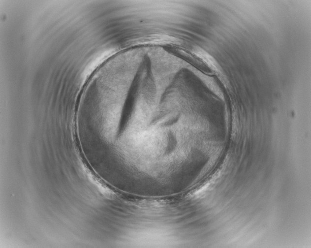 X0000088190850200706051205