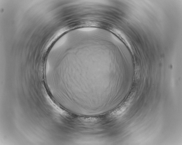 X0000088190851200706051205