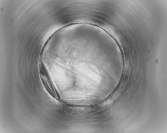 X0000088190855200706051205