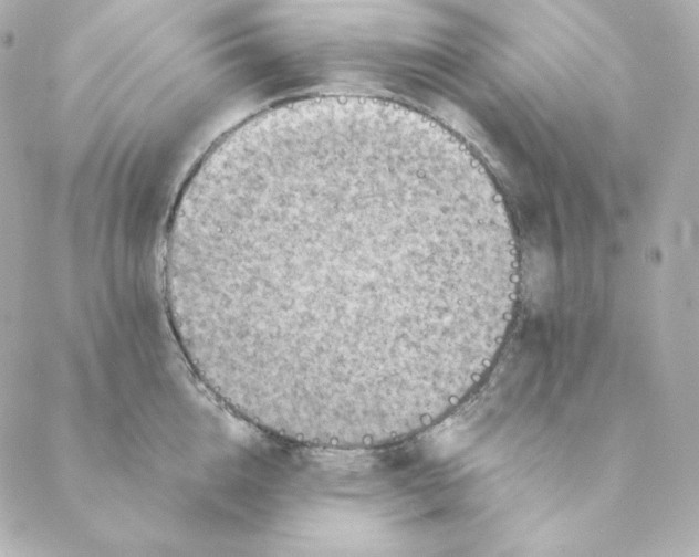 X0000088190856200706051205