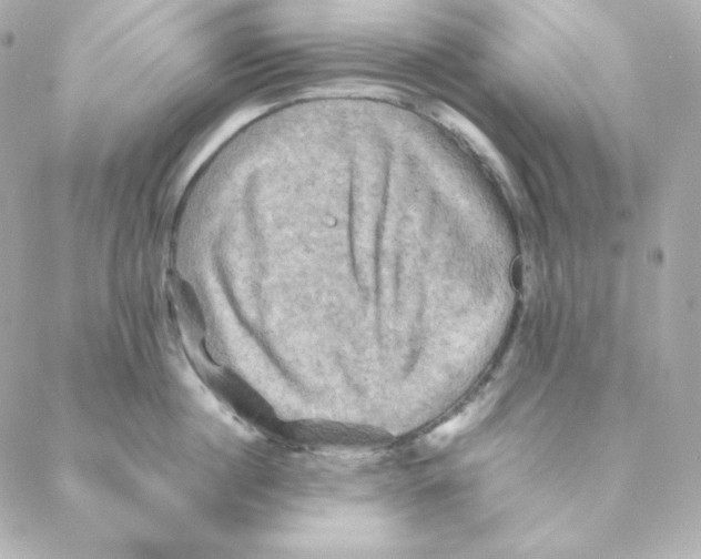 X0000088190860200706051205