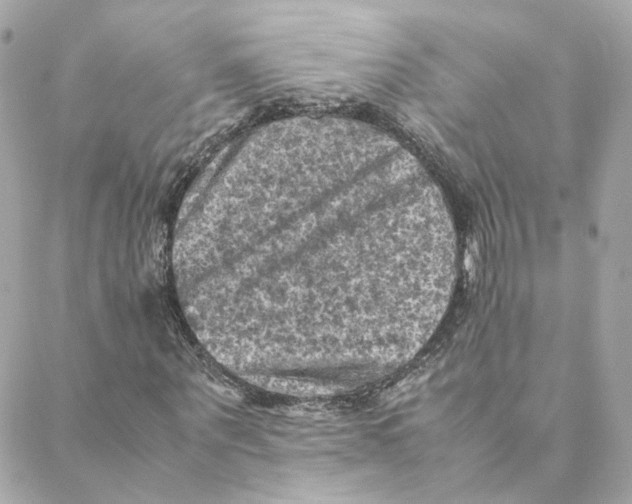 X0000088190867200706051204