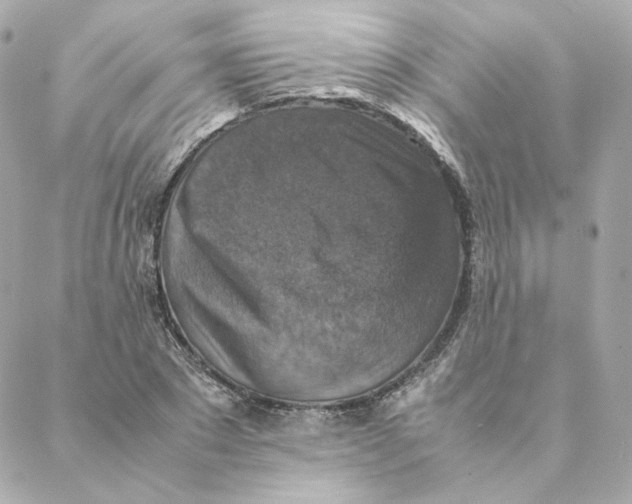 X0000088190881200706051204