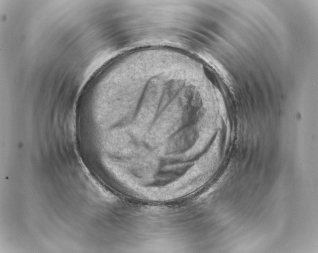 X0000088190894200706051204