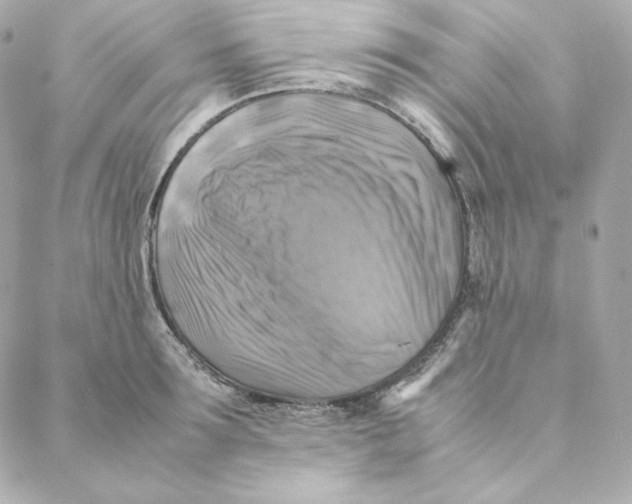 X0000088190899200706051204