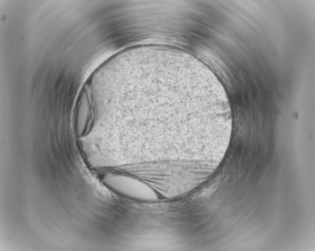 X0000088190900200706051204