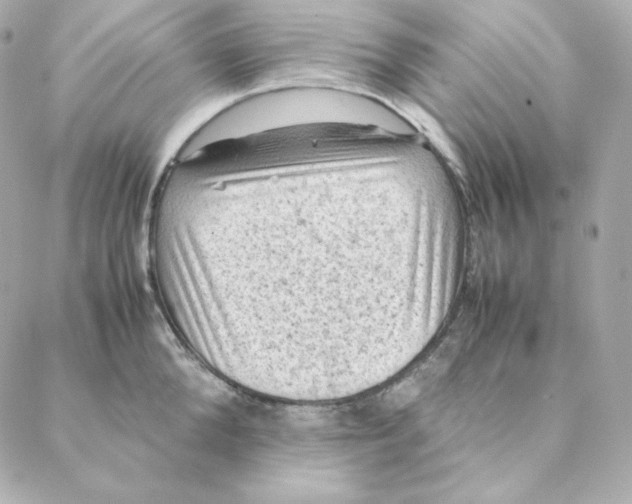 X0000088190904200706051204