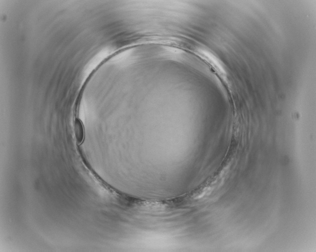 X0000088190907200706051203