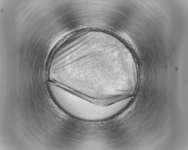 X0000088190924200706051203