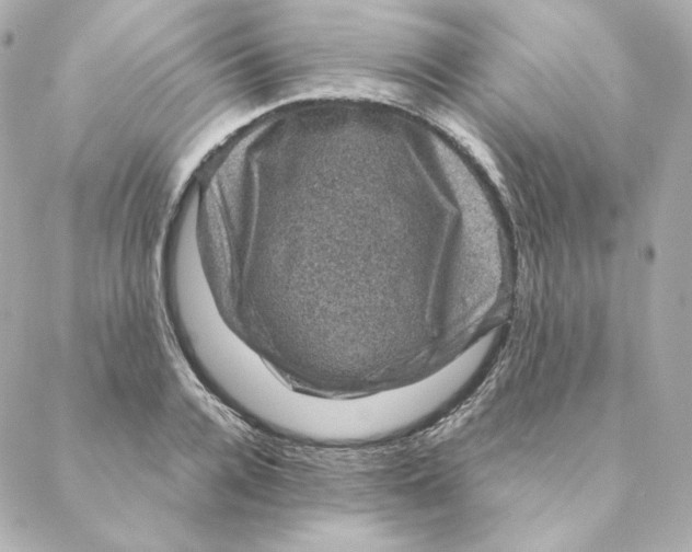X0000088190936200706051203