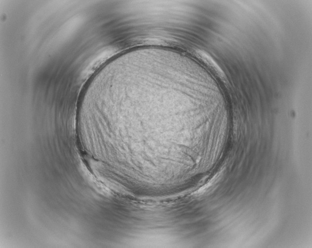 X0000088190938200706051203