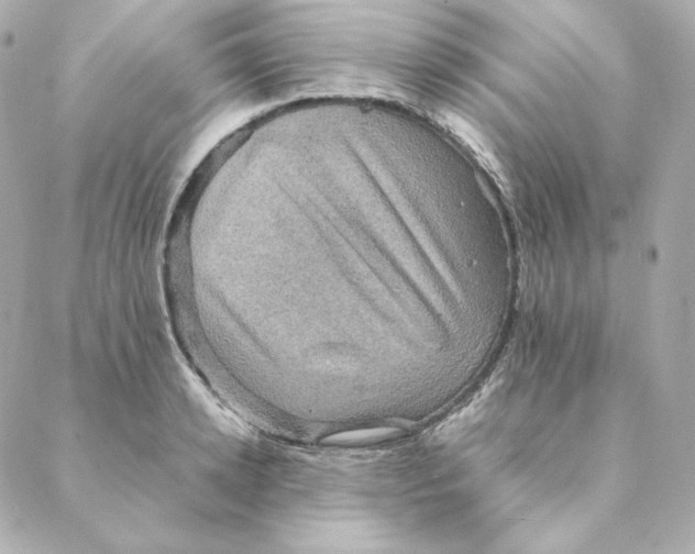 X0000088190942200706051203