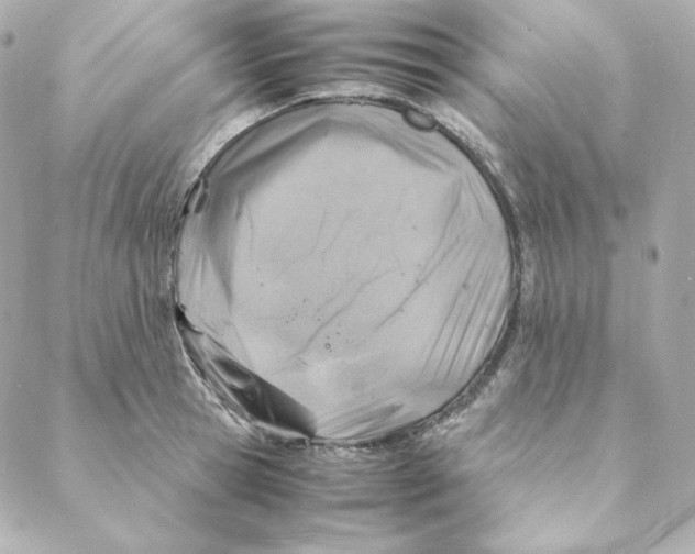 X0000088190945200706051203
