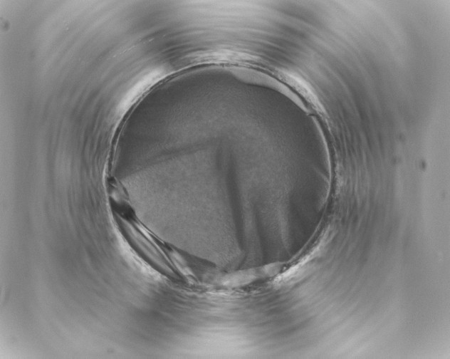 X0000088190946200706051203