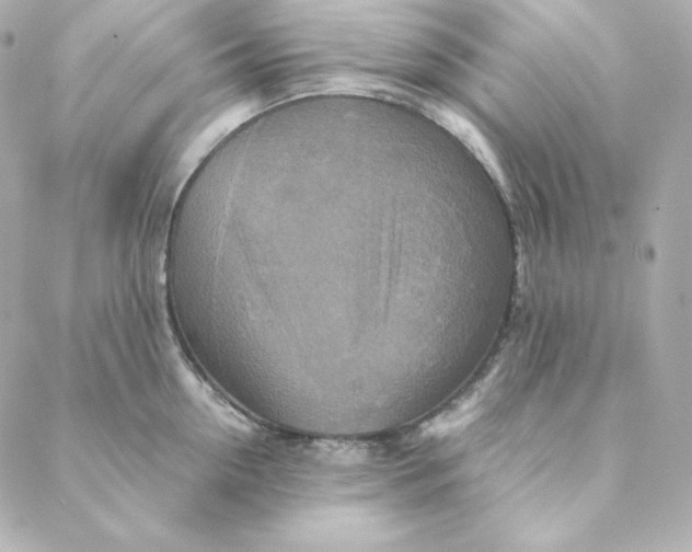 X0000088190954200706051203