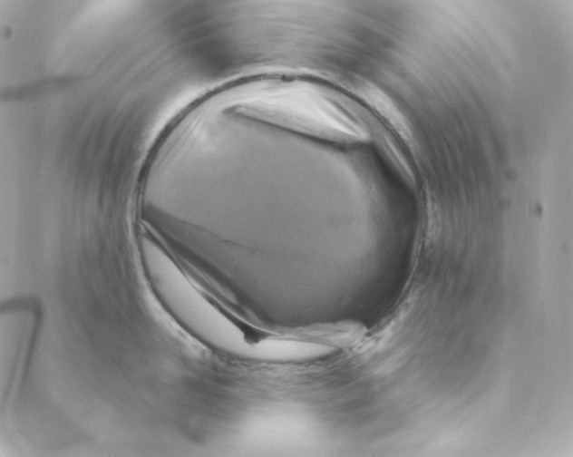 X0000088190958200706051203