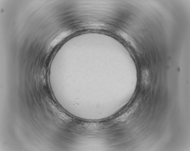 X0000088190970200706051202