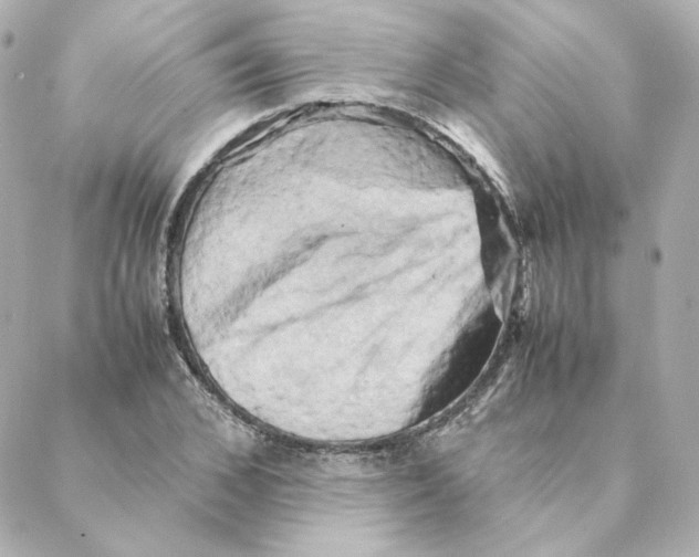 X0000088190976200706051202