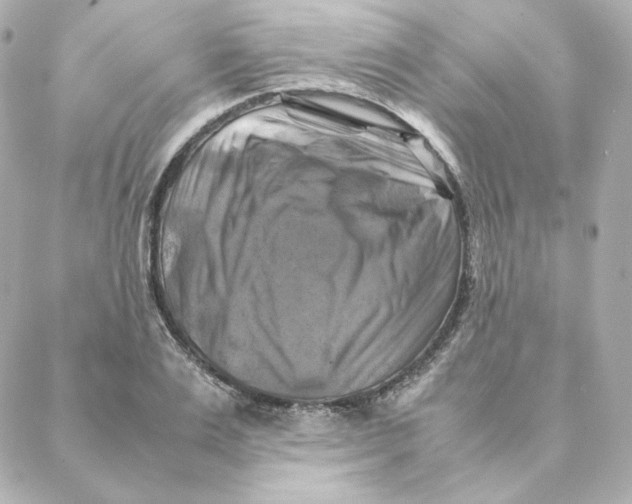 X0000088190983200706051202