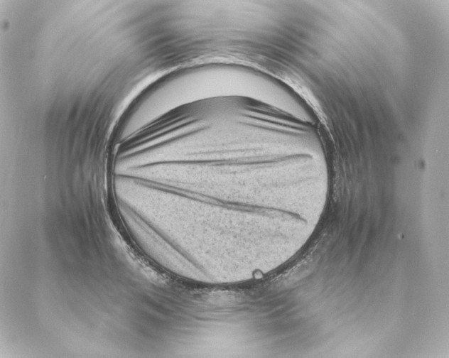 X0000088190984200706051202