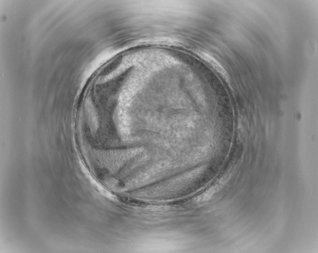 X0000088190989200706051202